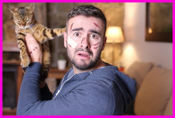 고양이 키우기 전 냥집사가 꼭 알아야 할 '찐후회' 3가지 팩폭