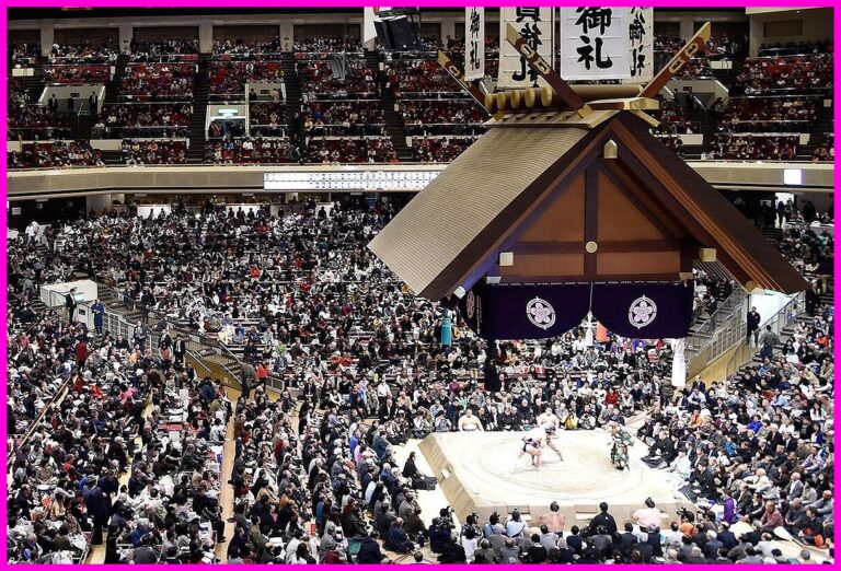 스모 관람 중 방석 던지면 '범죄자'? 일본 친방의 충격 경고