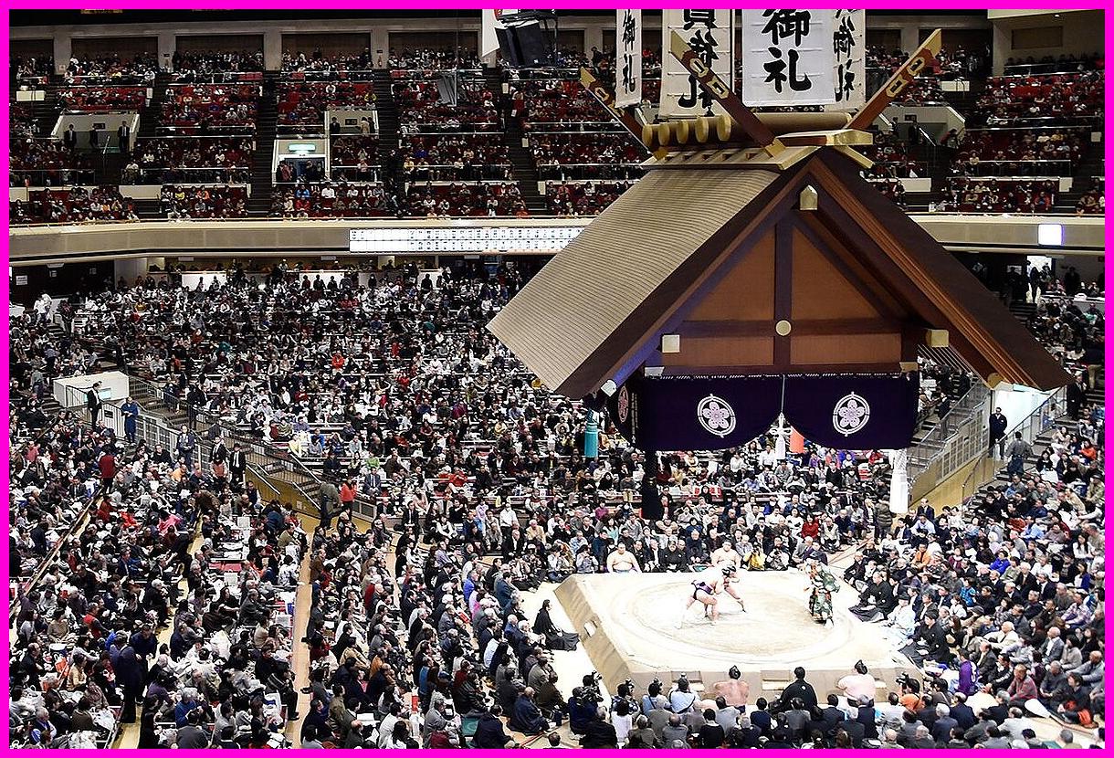 스모 관람 중 방석 던지면 '범죄자'? 일본 친방의 충격 경고