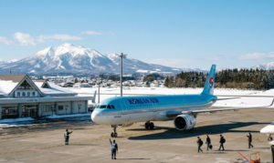 대한항공의 일본 소도시 집중 공략