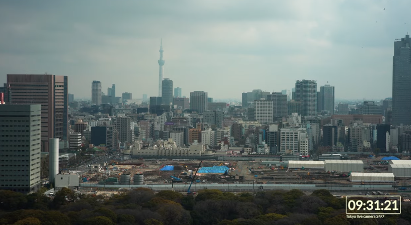 도쿄 벚꽃 실시간 개화
